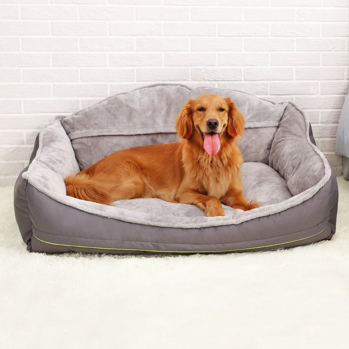 Grosser Hund sitzt in einem grauen Hundebett mit Rand – Hundebett kaufen oder selber bauen | LuxeStyle