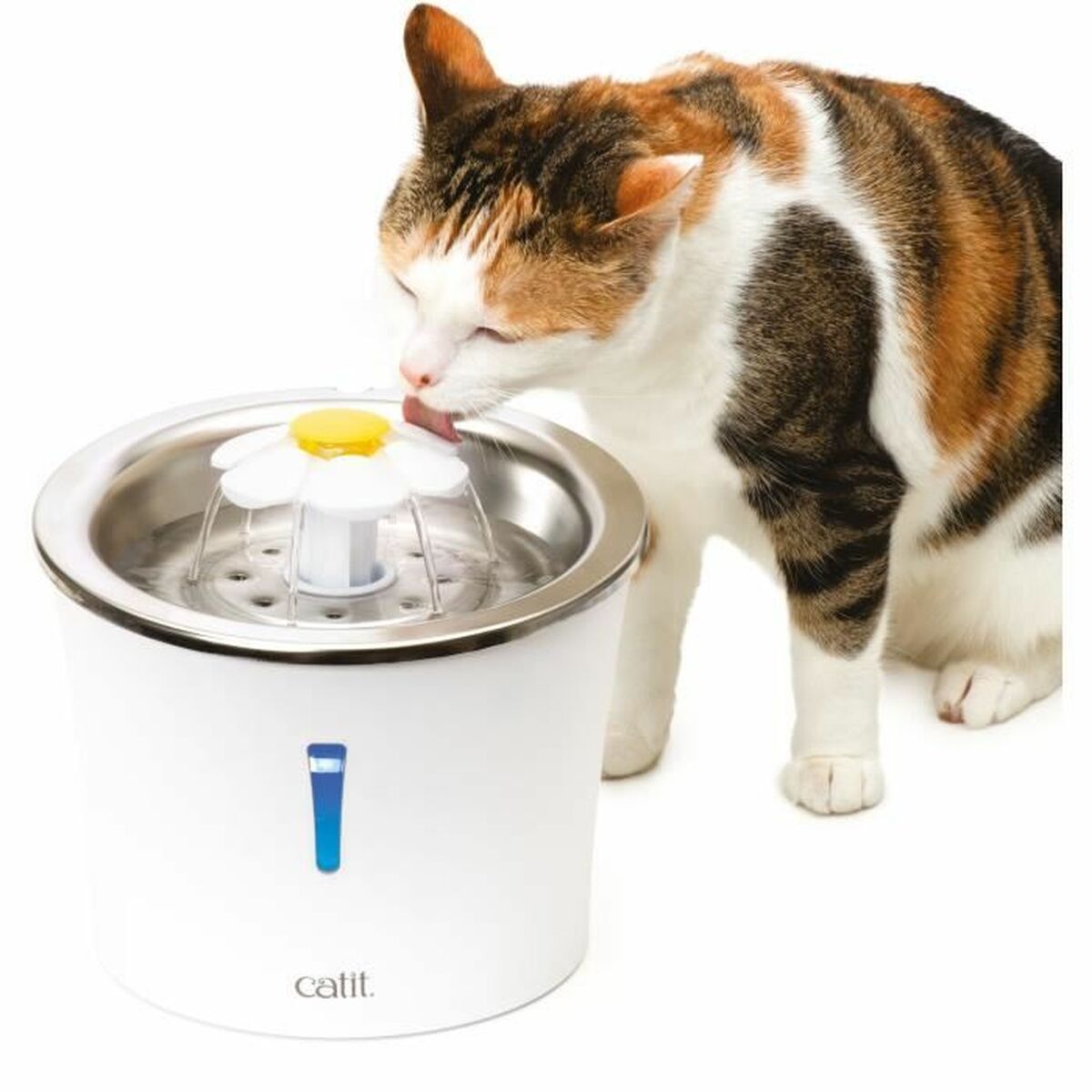 Eleganter Trinkbrunnen – Hygienisch & modern für Dein Tier – Ansicht 6