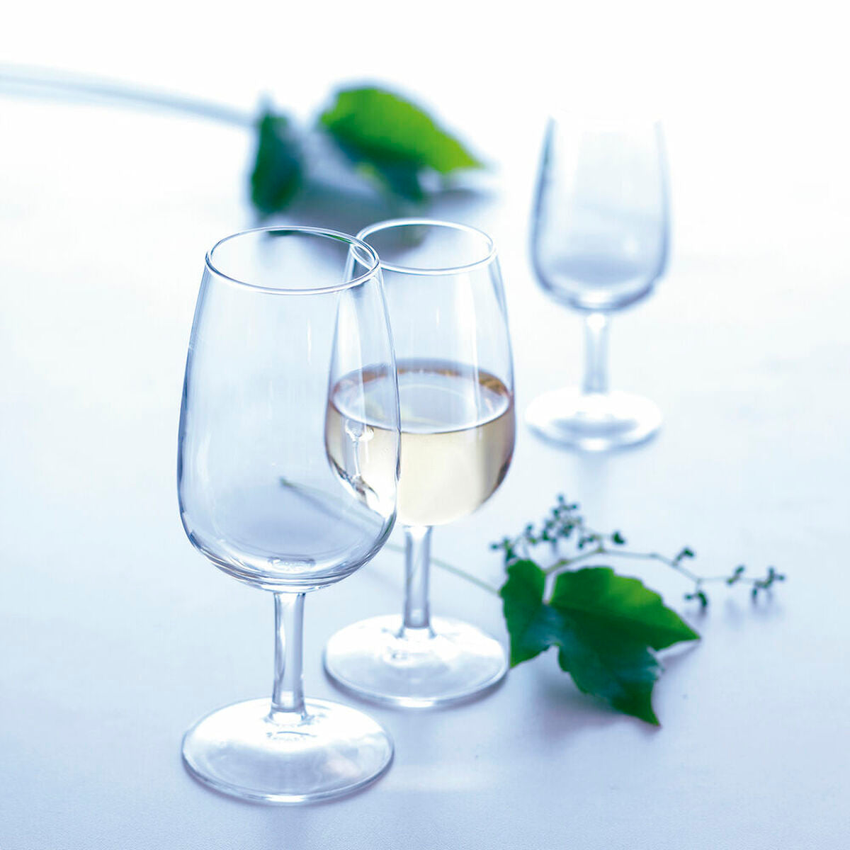 6er Wein-Verkostungsgläser – Eleganz für Kenner
