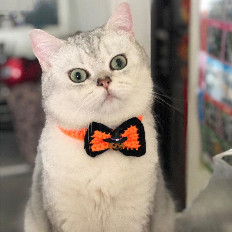 Halloween Haustier-Kopfbedeckung & Halsband – Bild 5 | LuxeStyle