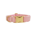 Hundehalsband Cord-Serie | LuxeStyle
