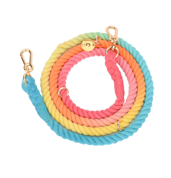 Multifunktionale Regenbogen-Hundeleine – Bild 8 | LuxeStyle