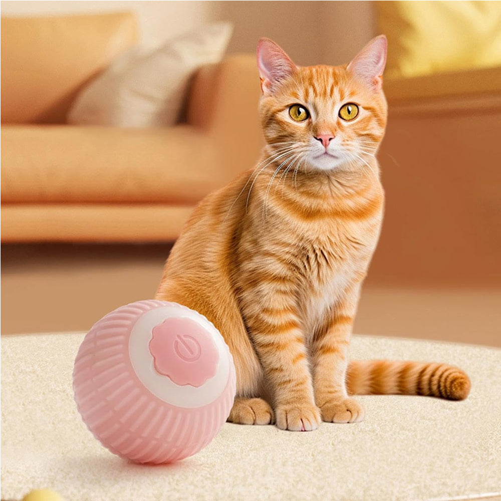 Interaktiver Rollball für Katzen – Ref. CJ-1996404100507553794