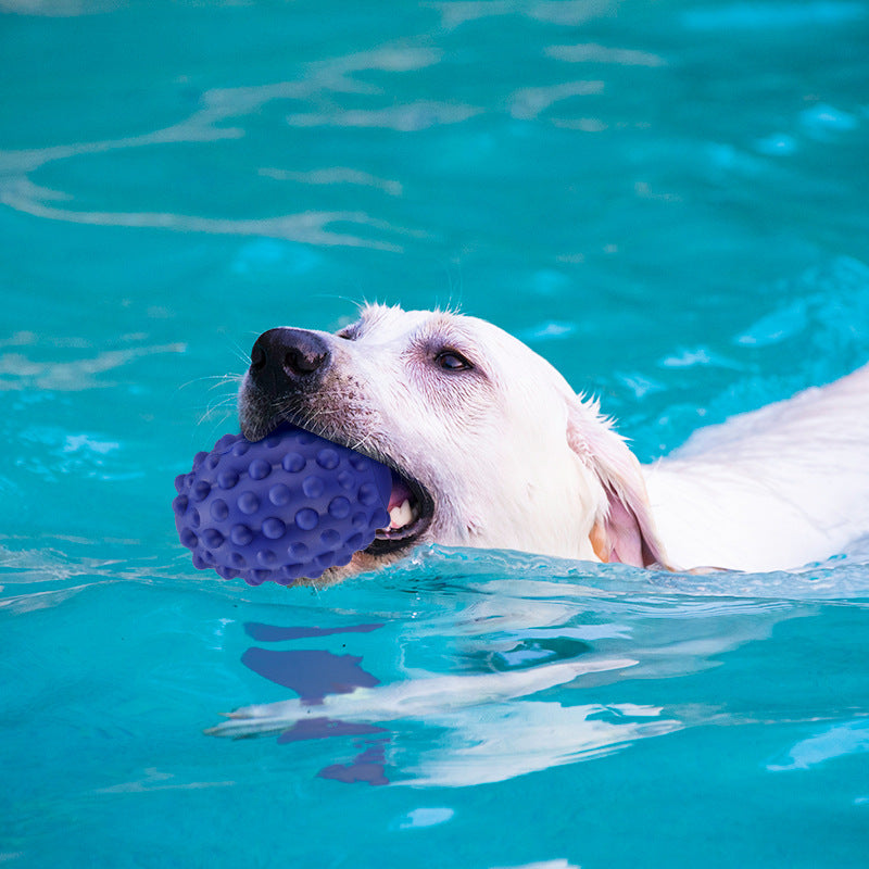 Robustes Hunde- & Katzenspielzeug mit Rindfleischaroma