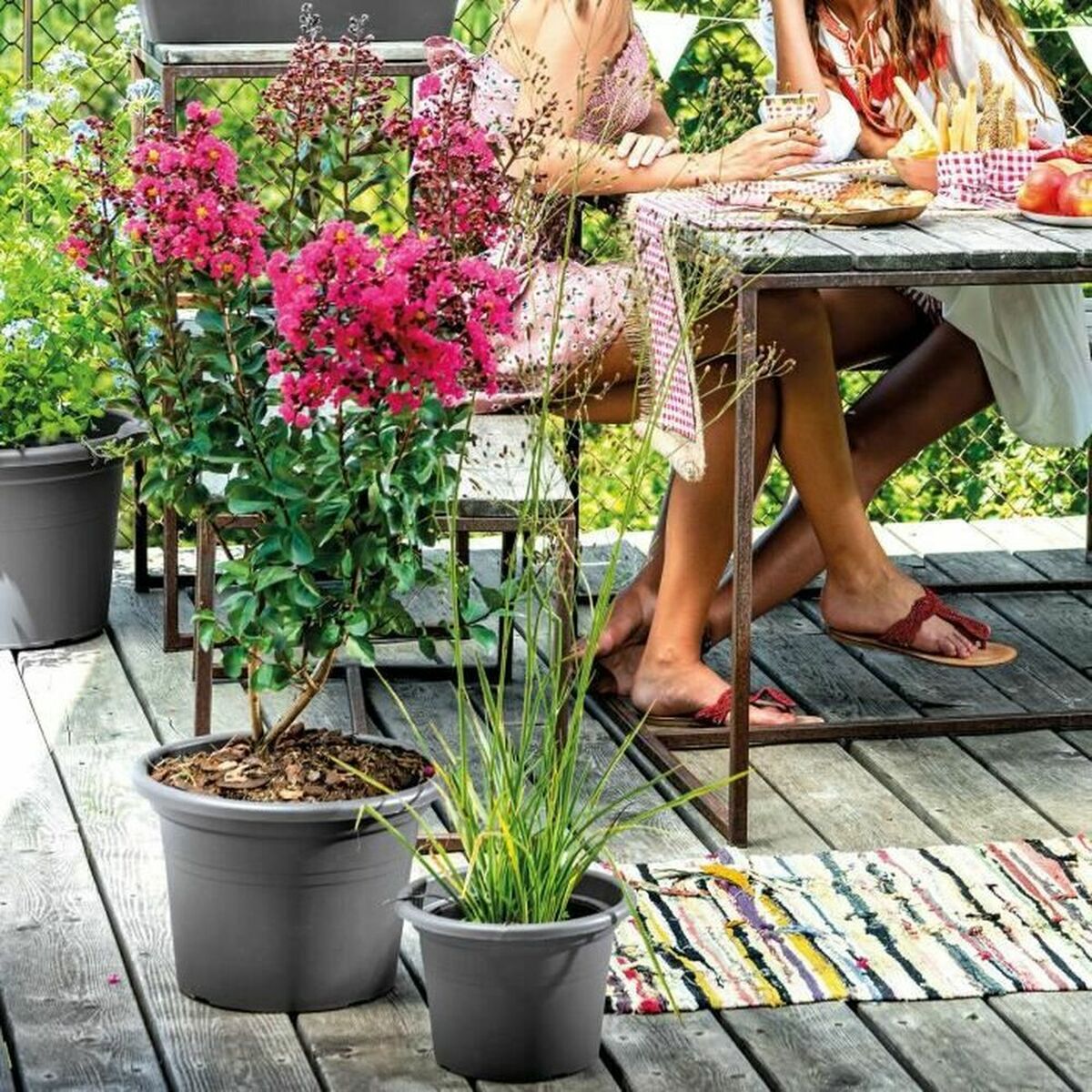 Blumentopf Zylinder Anthrazit Ø 50cm – Groß & Modern für dein Grün