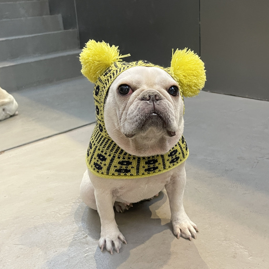 Winterpullover für Hund & Katze – Bild 2 | LuxeStyle