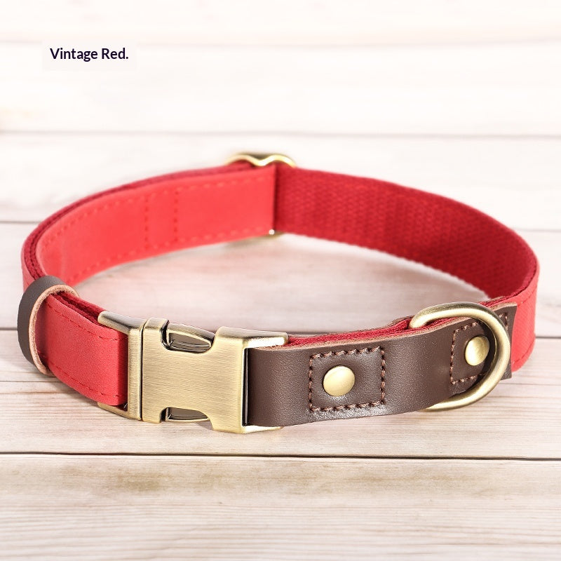 Halsband für mittelgrosse Hunde