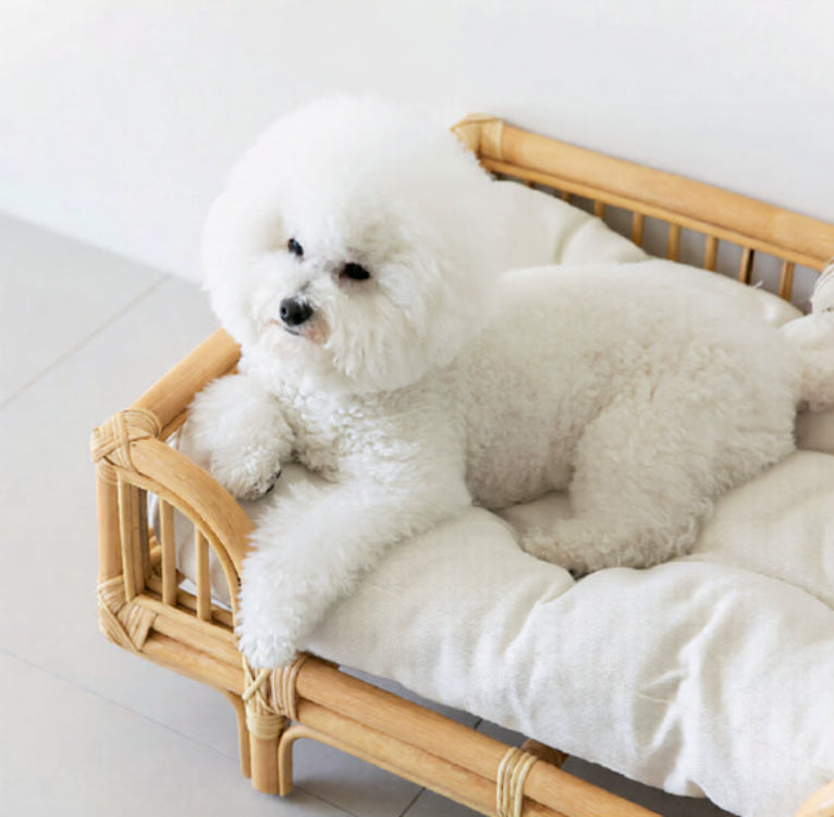 Natürlicher Rattan-Hundebett