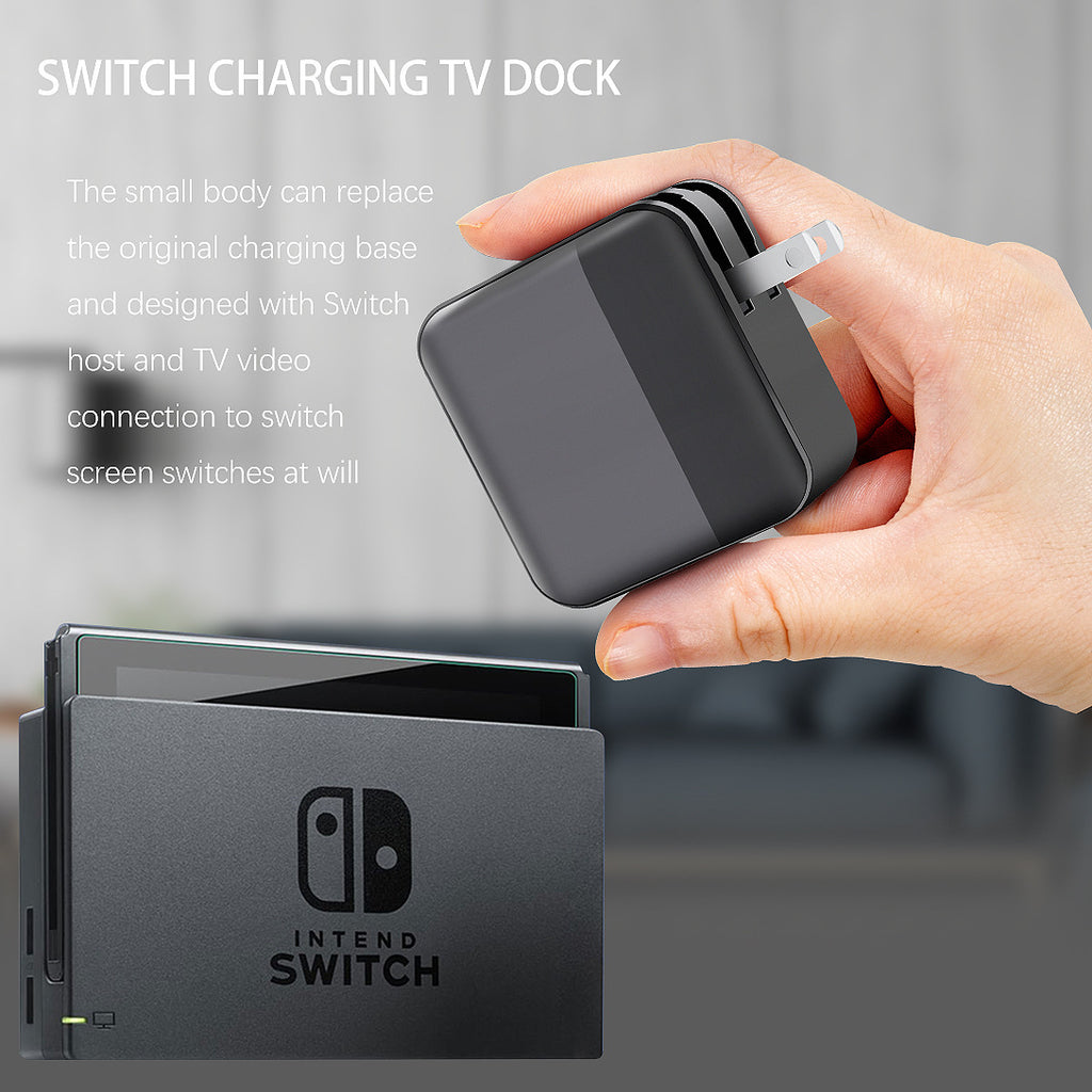 AC Adapter 2-in-1 für Switch