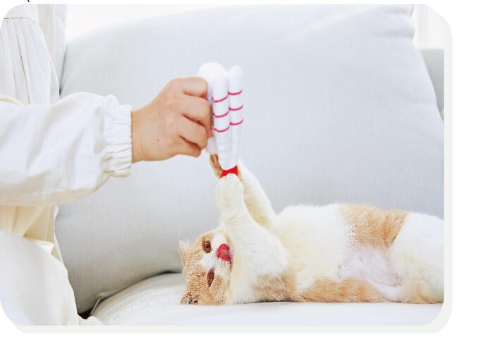 Sushi Catnip Spielzeug für Katzen