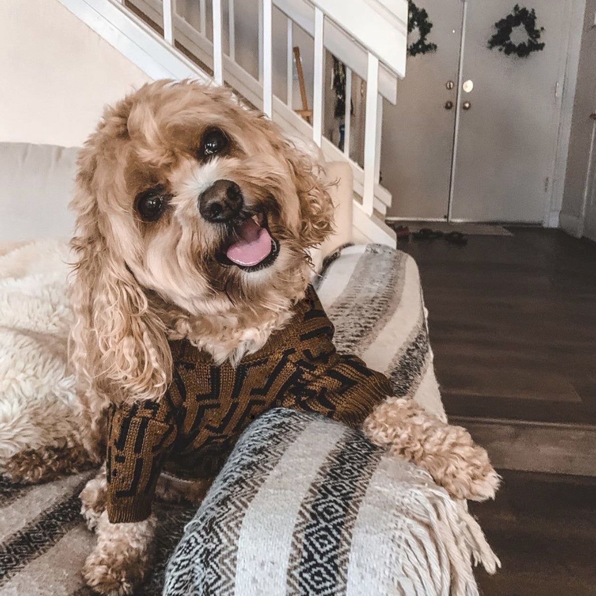 Lederpuppensweater Braun, Medium/Large | LuxeStyle