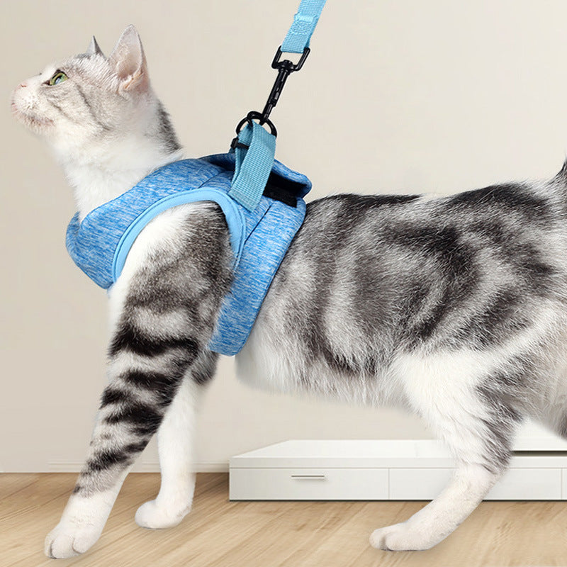 Katzenleine mit Brustgurt – Bild 4 | LuxeStyle