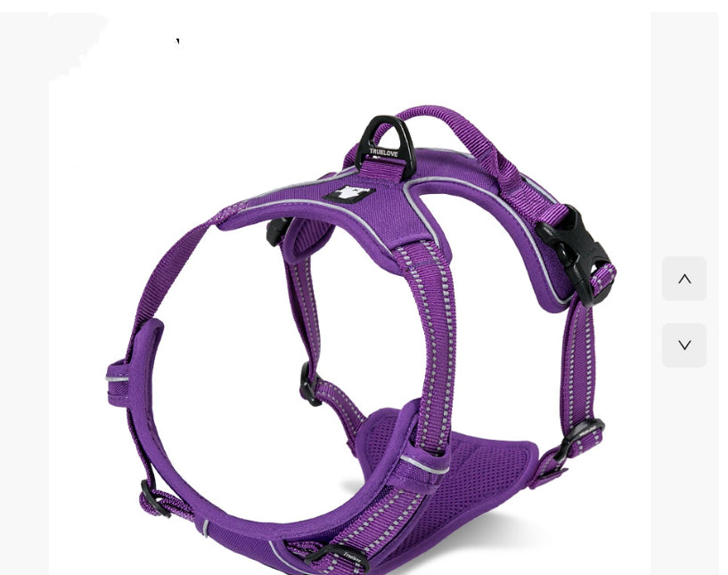 Reflektierendes Hundegeschirr gepolstert – Bild 5 | LuxeStyle
