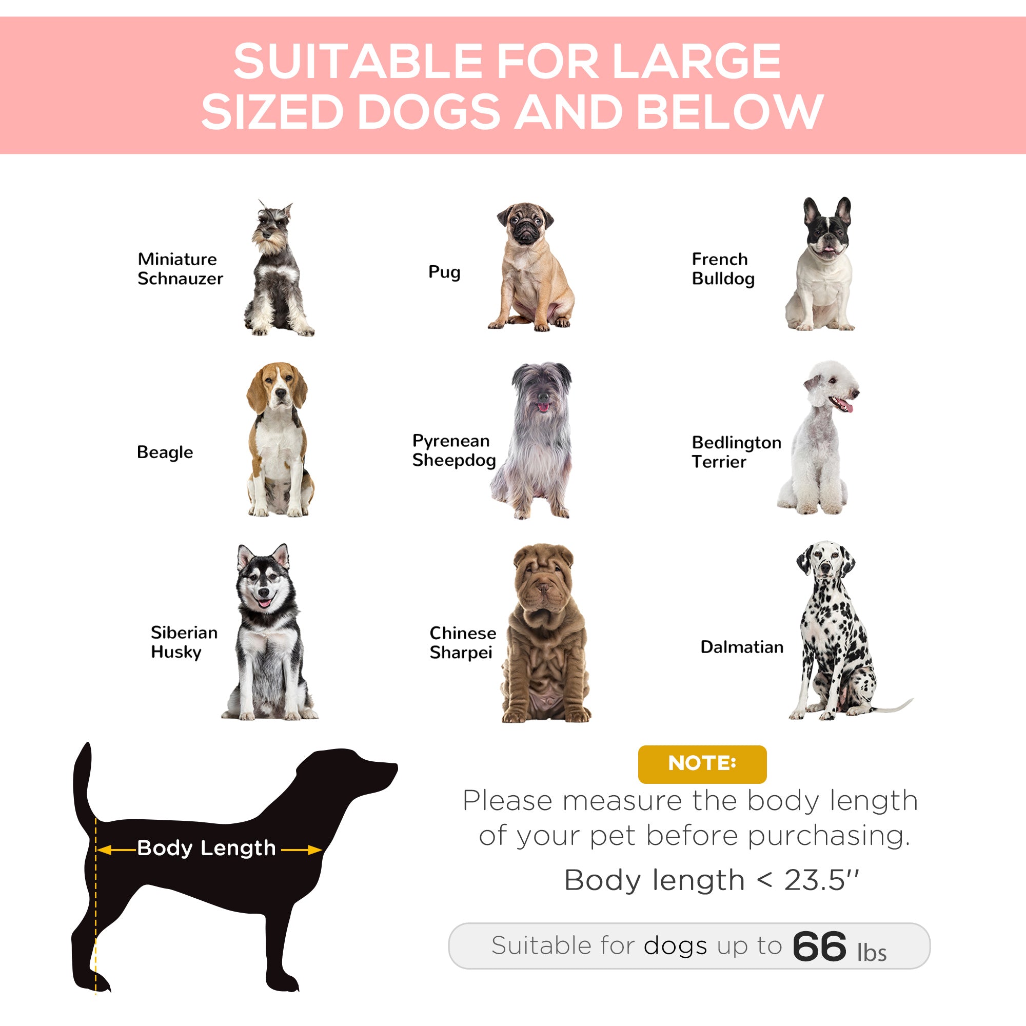 Hochliegendes Mesh-Hundebett