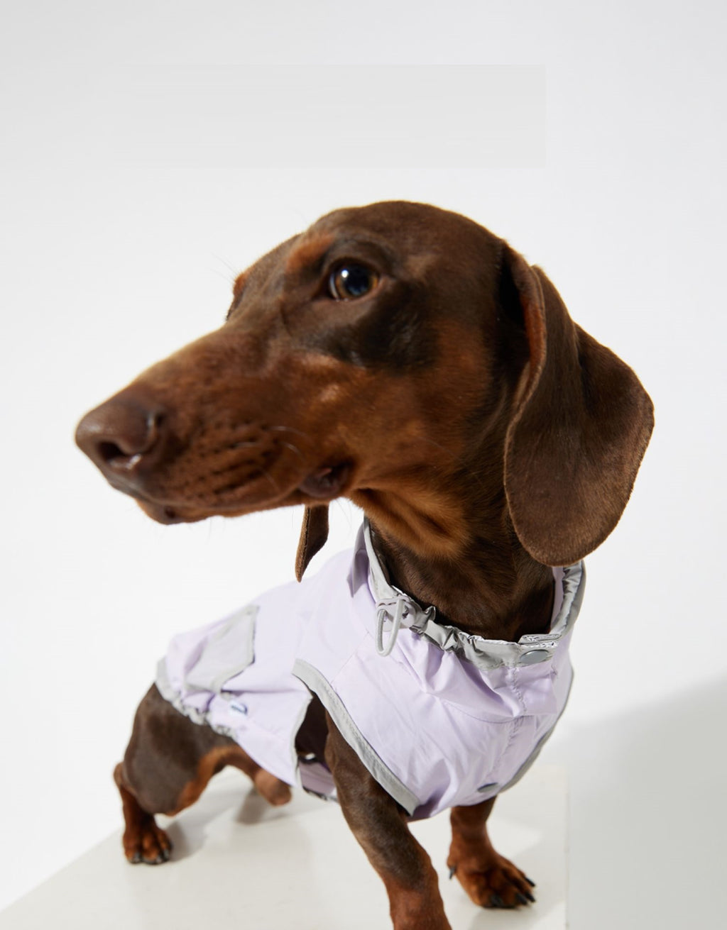 Dünne Hunde-Weste Regenjacke