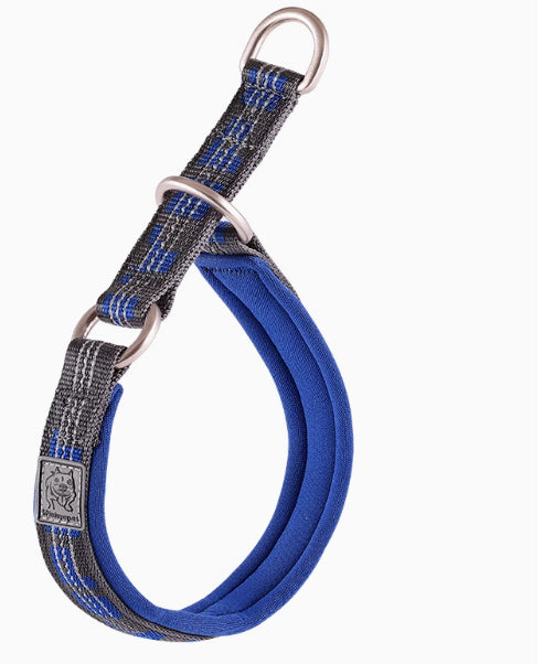 Hundehalsband P-Kette für Spaziergänge – Bild 2 | LuxeStyle
