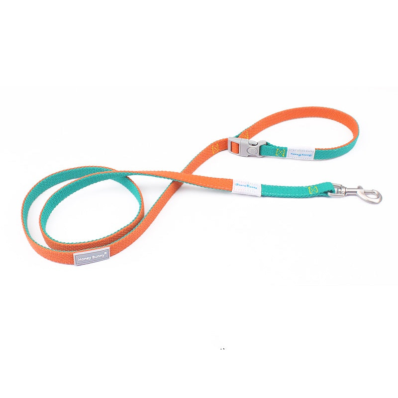 Halsband und Leine mit farblich passender Schnalle – Bild 15 | LuxeStyle