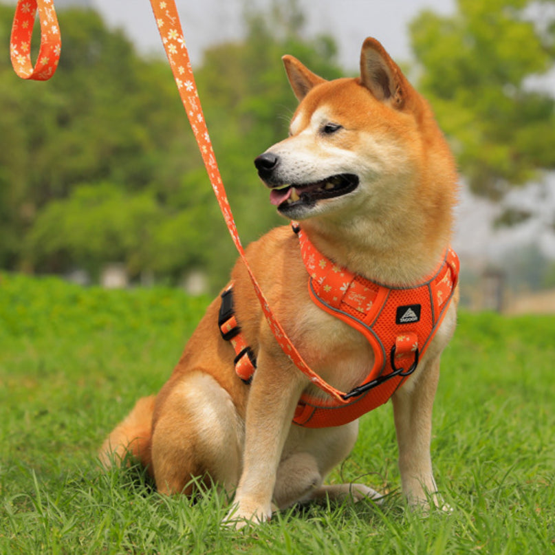 Verstellbares Brustgeschirr für Hunde – Bild 6 | LuxeStyle