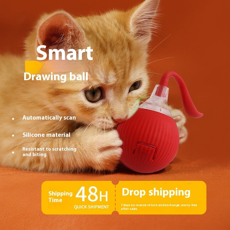Interaktiver Katzen-Spielball