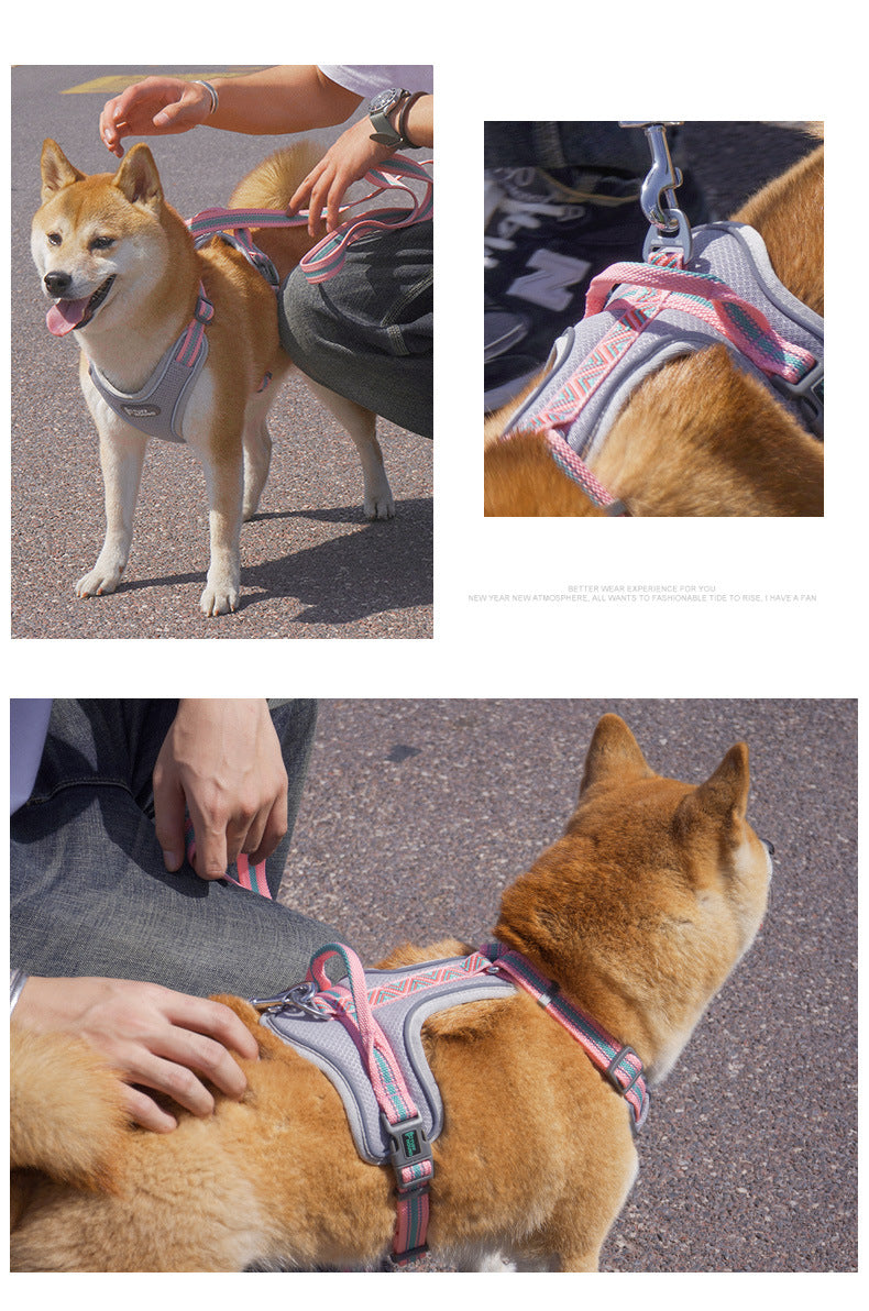 Hundegeschirr im Westen-Stil – Bild 9 | LuxeStyle