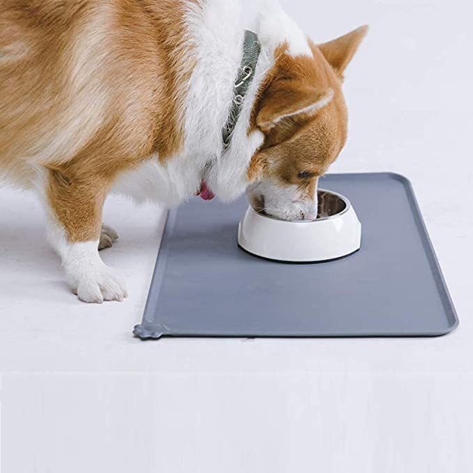 Edelstahl-Futter für Hund & Katze | LuxeStyle