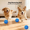 Interaktiver Hüpfball für Hunde