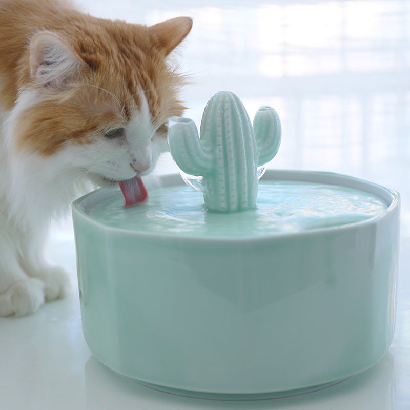 Keramik Trinkbrunnen Kaktus für Katzen – Bild 4 | LuxeStyle