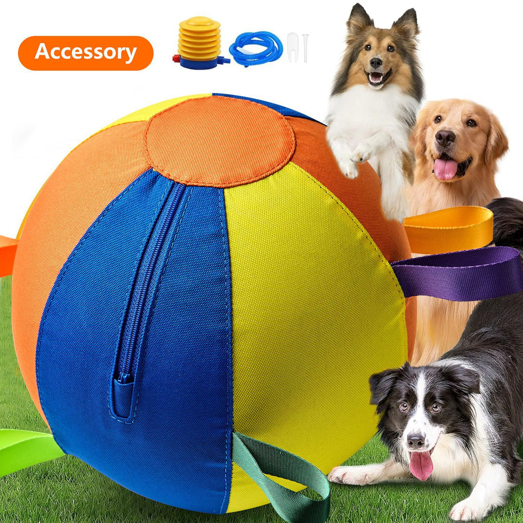 Golden Retriever Spielball-Set, kaubeständig