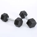Hexagonaler Gummieinsatz-Dumbbell 12,5 kg – Bild 5 | LuxeStyle