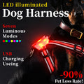 Leuchtfühlerkette für Hunde mit Ladekabel