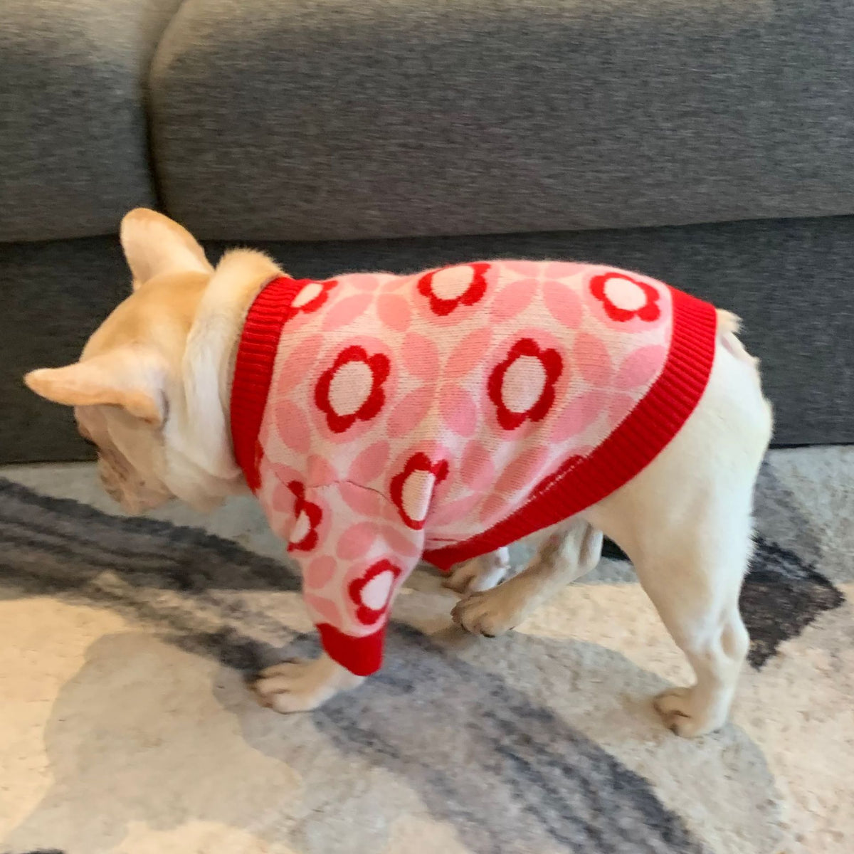 Hundemantel Jacquard Herbst/Winter Rot – Bild 2 | LuxeStyle