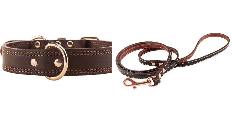 Lederverstärkter Hundehalsband – Bild 3 | LuxeStyle
