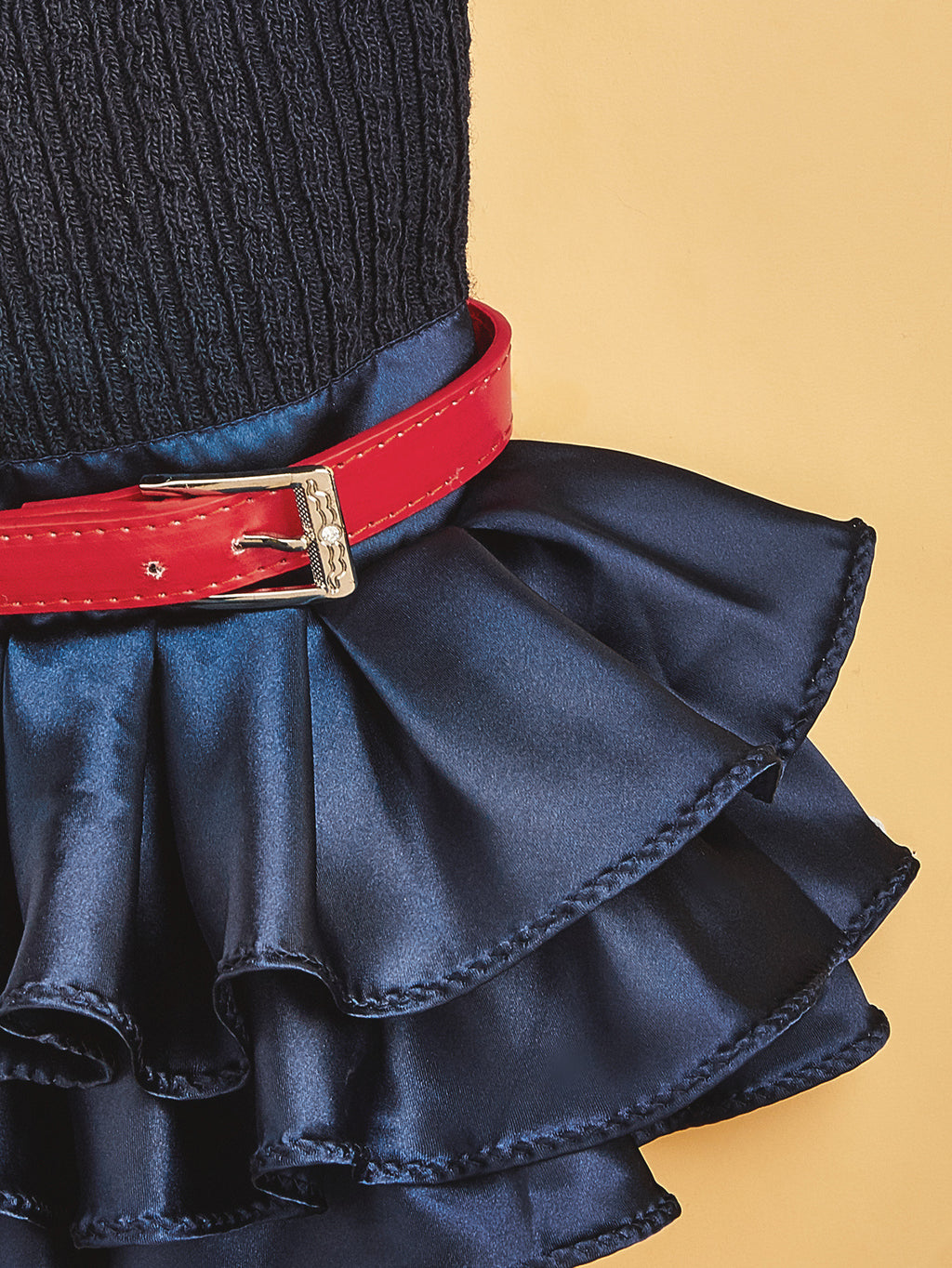 Herbst-Winter-Set für Haustier mit Pullover – Bild 4 | LuxeStyle