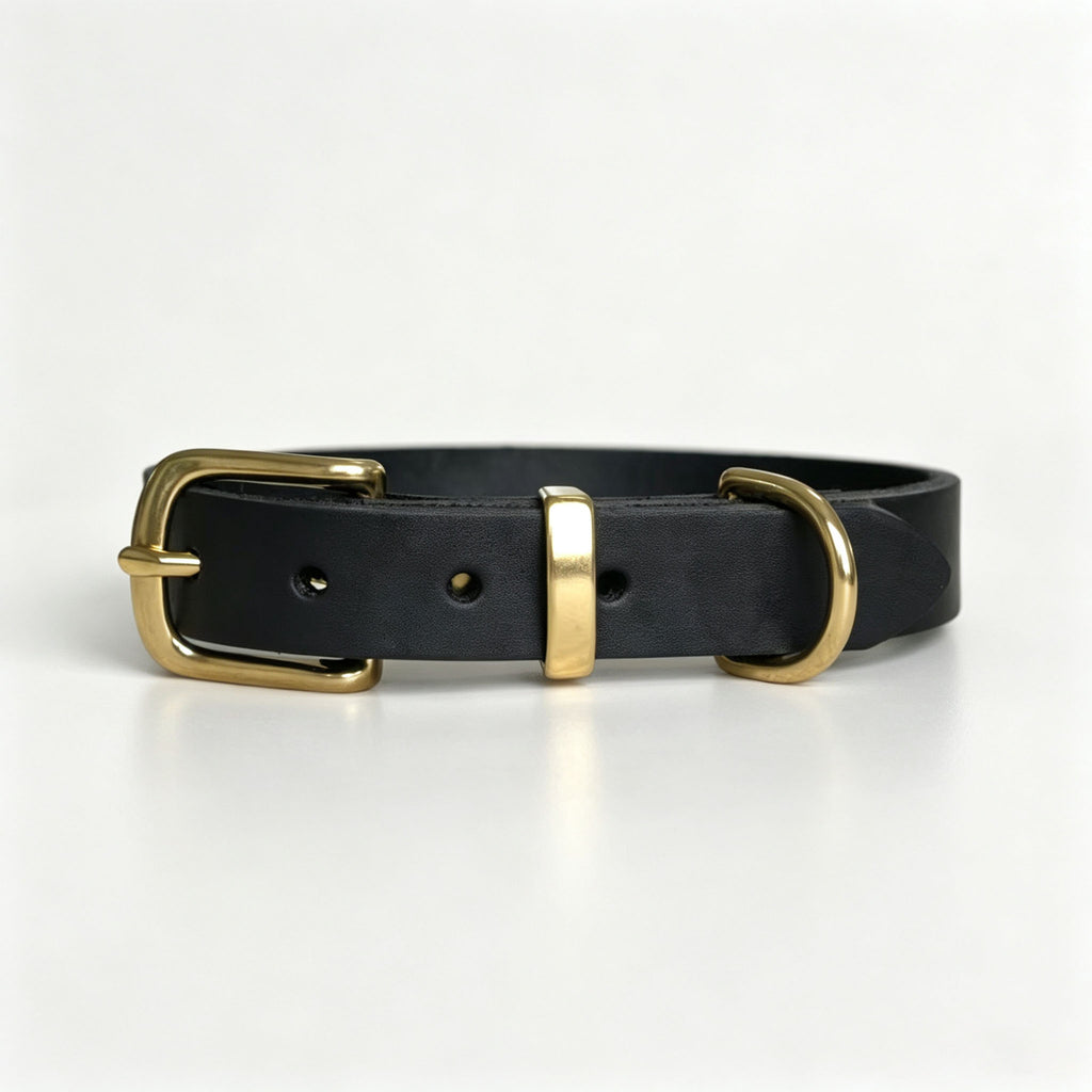 Vintage-Halsband für Haustiere mit Messing
