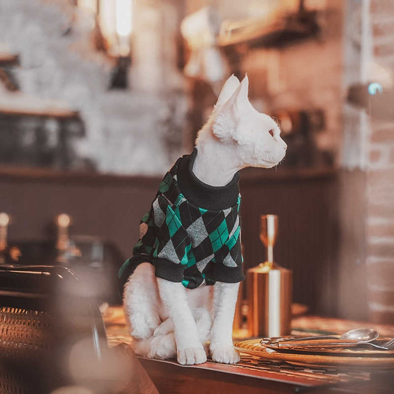 Katzenpullover aus Baumwolle mit Karomuster – Bild 2 | LuxeStyle