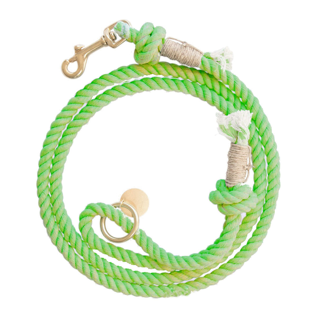 Geflochtene Hundeleine – Bild 4 | LuxeStyle