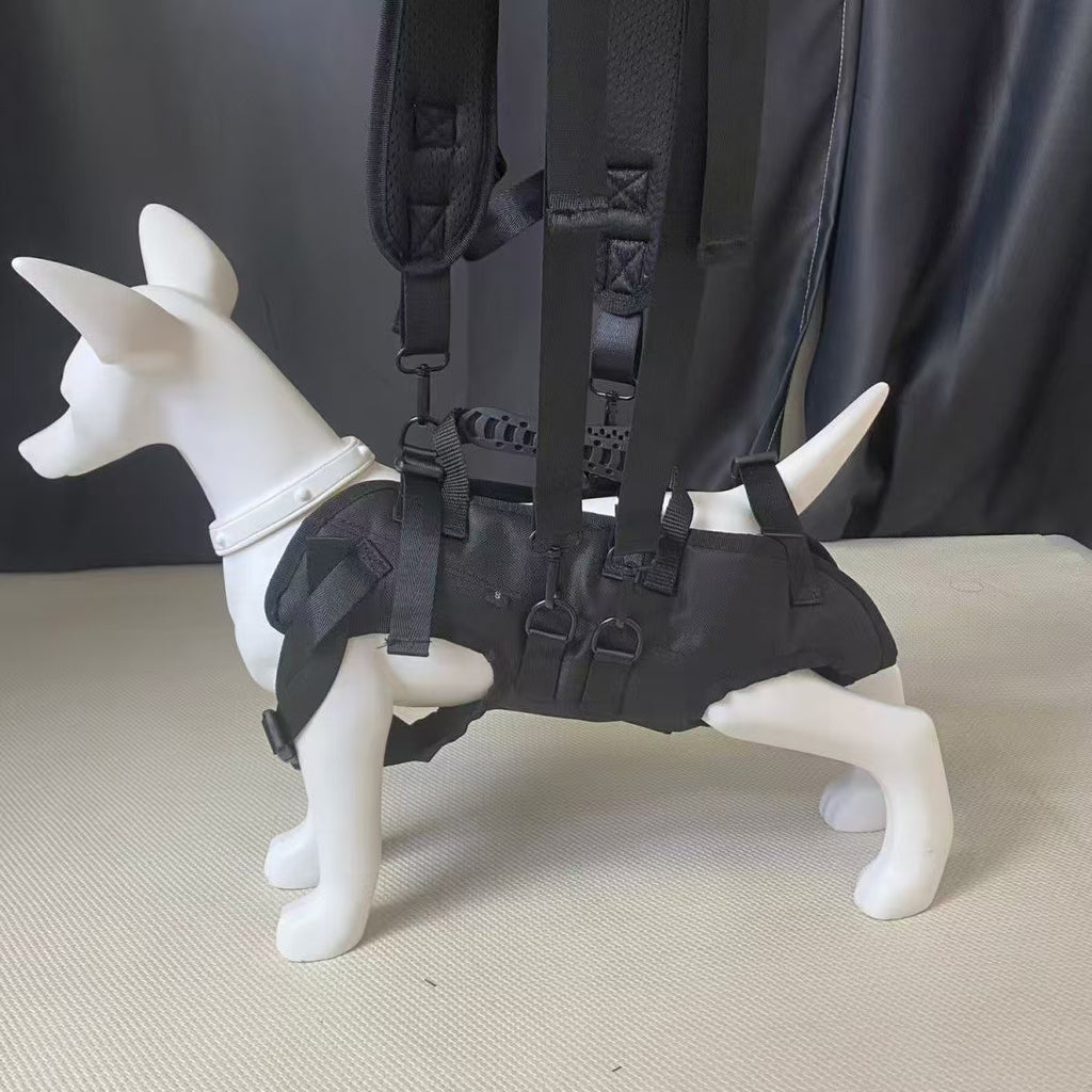 Hunde-Brusttasche für Velo und Spaziergänge