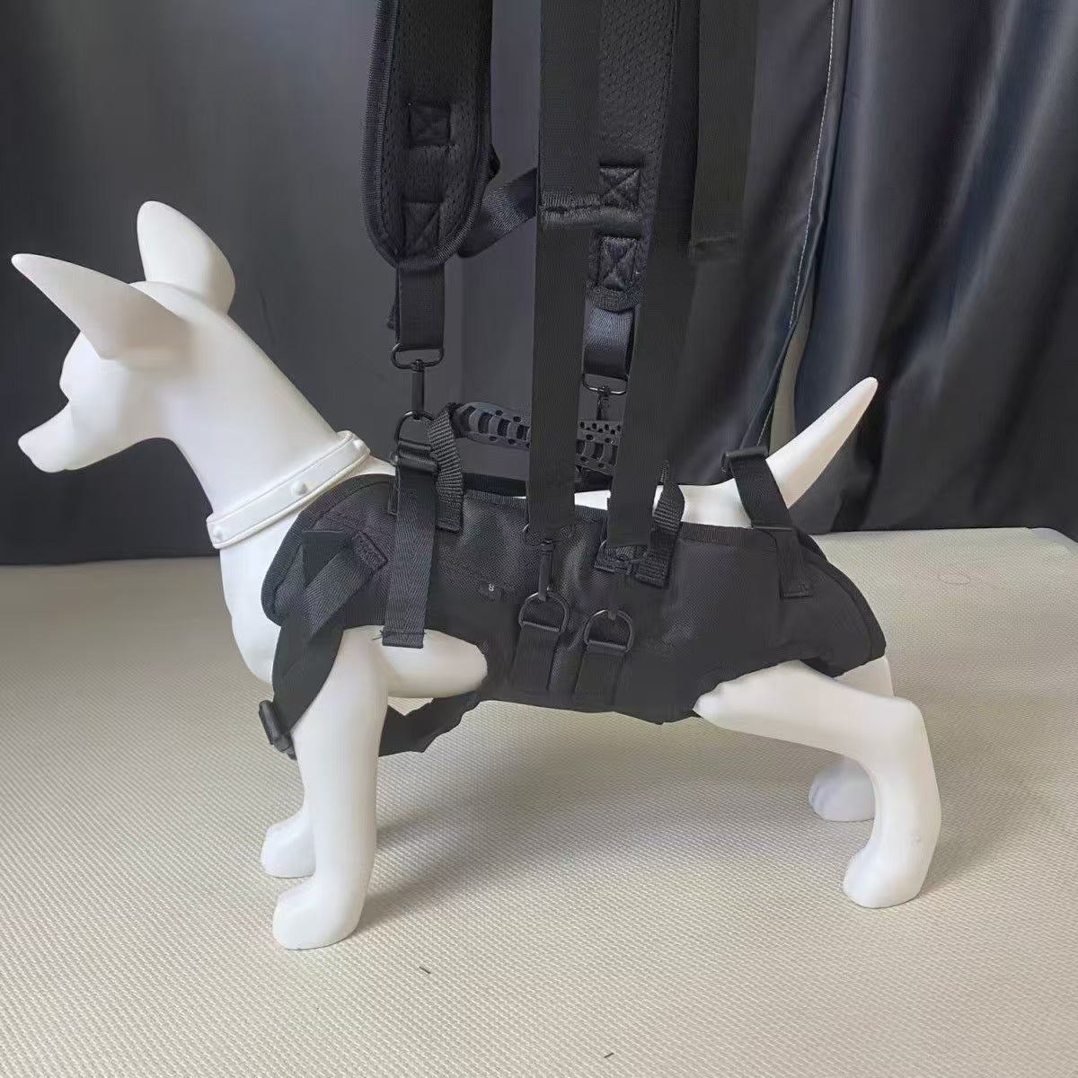 Hunde-Brusttasche für Velo und Spaziergänge