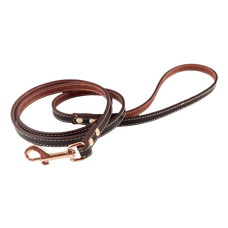 Hautleder Halsband für Hunde – Bild 5 | LuxeStyle