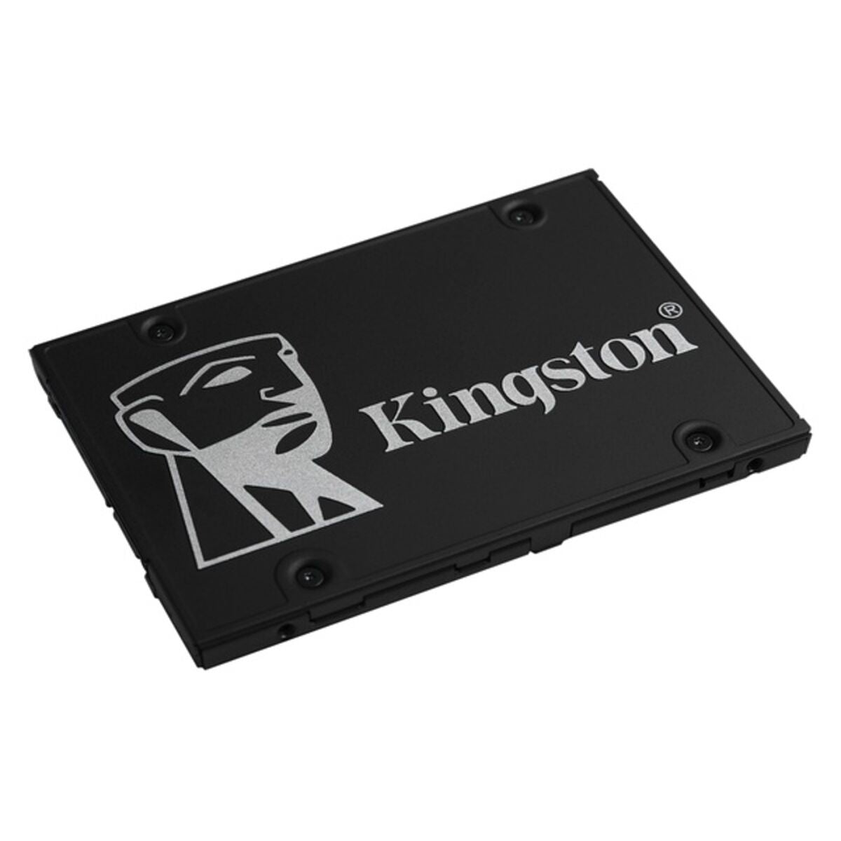 SSD Festplatte 1TB – Blitzschnelle Leistung für Ihren PC