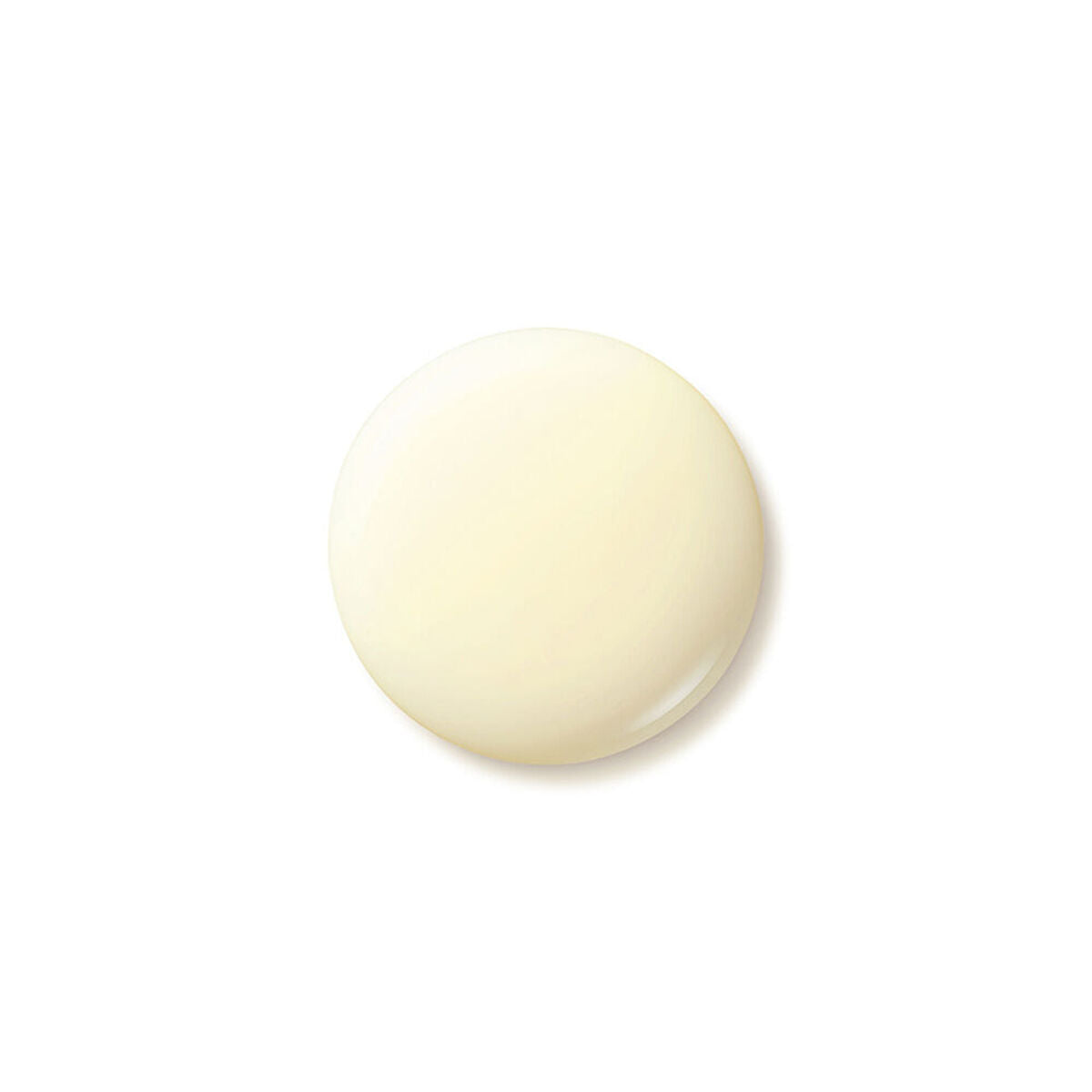 Anti-Falten Tagescreme Shiseido Benefiance Wrinkle Smoothing Spf 20 75