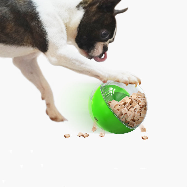 Lemon Hundespielzeug – Bild 8 | LuxeStyle