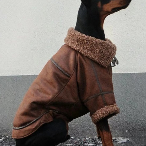 Velours-Wintermantel für grosse Hunde