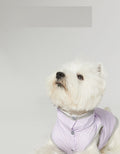 Dünne Hunde-Weste Regenjacke