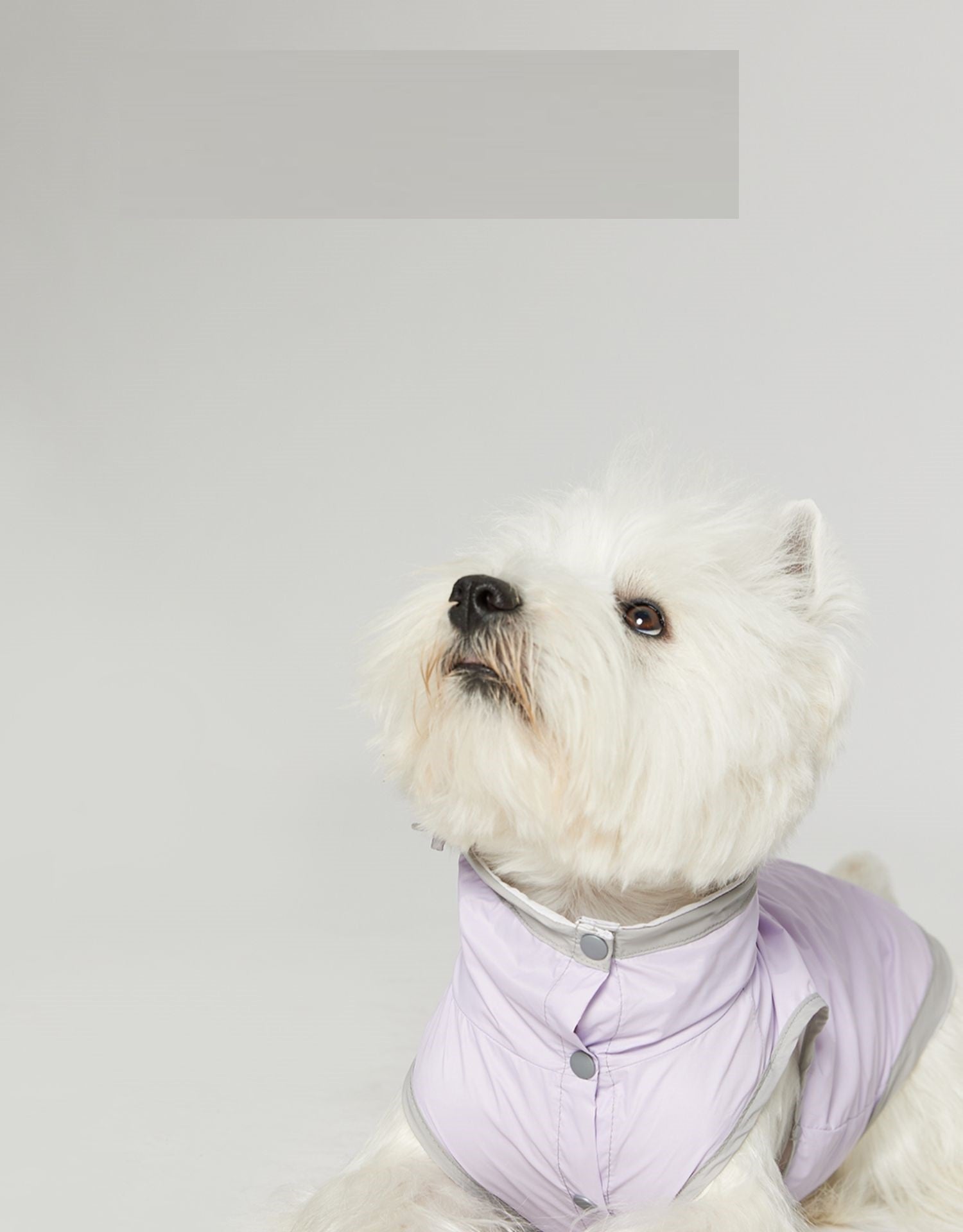 Dünne Hunde-Weste Regenjacke