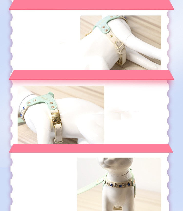 PU-Leder Brustgeschirr-Set mit Strass für Hunde & Katzen – Bild 14 | LuxeStyle