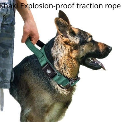 Verstellbarer Hundehalsband
