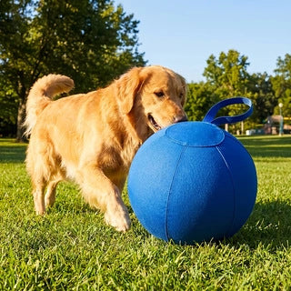 Blauer Spielzeug für Hunde