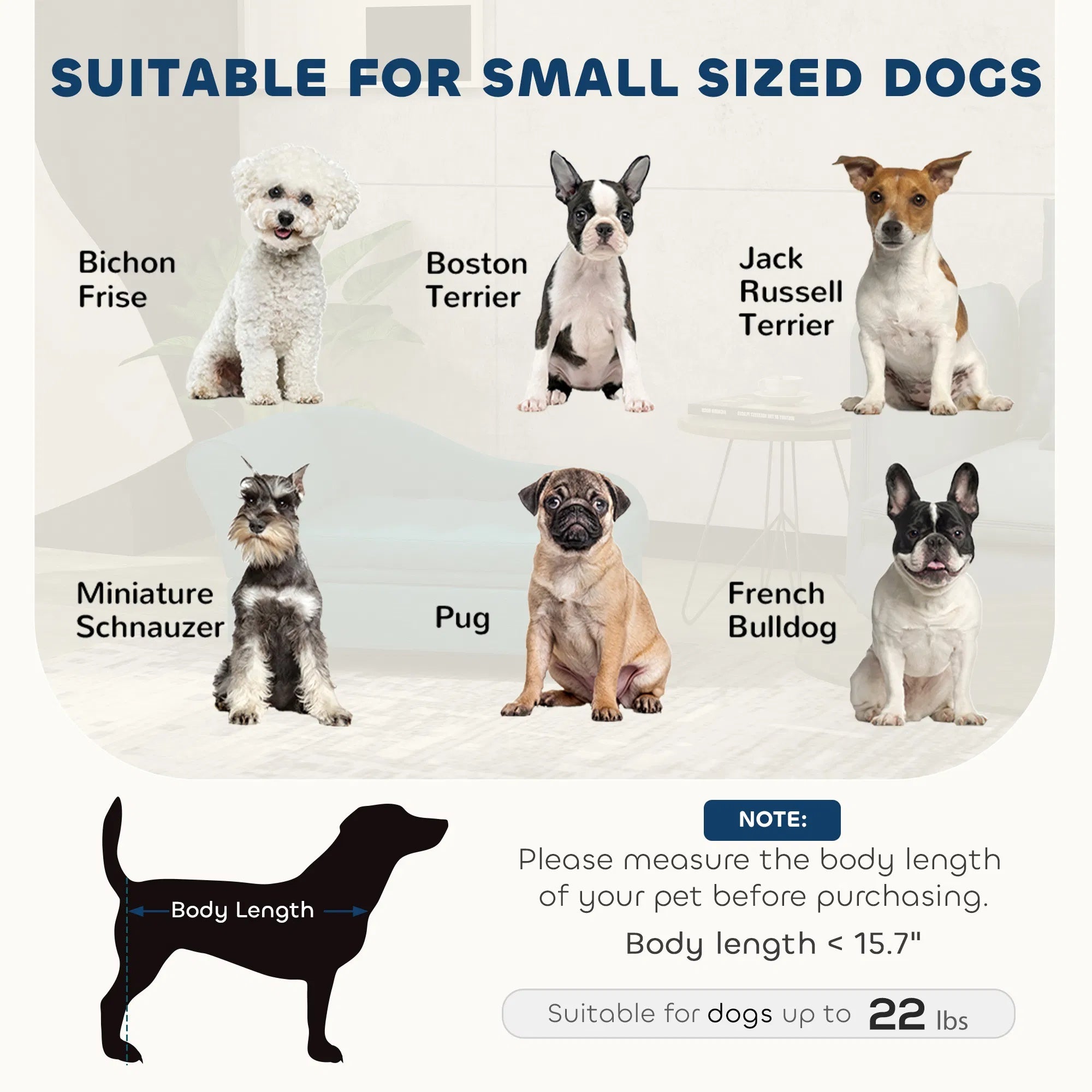Hundebett mit Stauraum für kleine Hunde & Katzen
