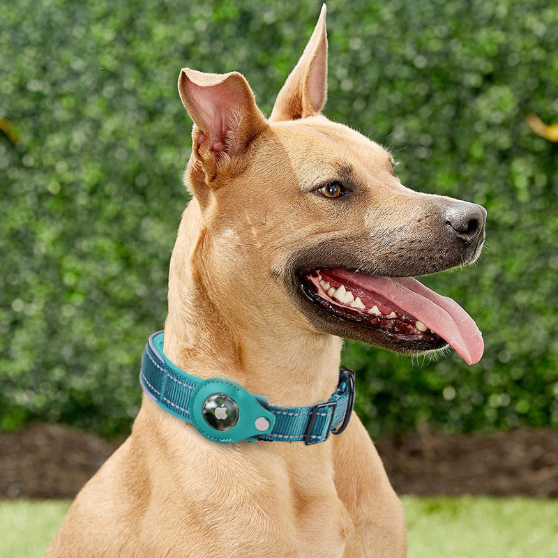 Sicherheits-Halsband für Hunde – Bild 3 | LuxeStyle